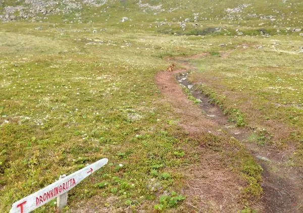 מלון Nyksundrom, Nyksund